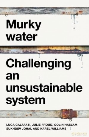 Murky Water: Challenging an Unsustainable System (Manchester Capitalism) - Luca Calafati [KSIĄŻKA]