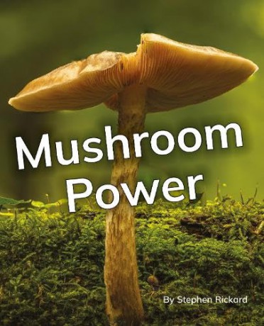 Mushroom Power: Phonics Phase 5 (Reading Stars Achieve Phonics) [KSIĄŻKA]