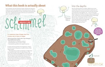 Mushrooms and Company: How a Marvelously Moldy Network Supports Life on Earth - Geert-Jan Roebers [KSIĄŻKA]
