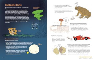 Mushrooms and Company: How a Marvelously Moldy Network Supports Life on Earth - Geert-Jan Roebers [KSIĄŻKA]