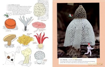 Mushrooms and Company: How a Marvelously Moldy Network Supports Life on Earth - Geert-Jan Roebers [KSIĄŻKA]