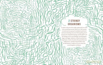 Mushrooms and Company: How a Marvelously Moldy Network Supports Life on Earth - Geert-Jan Roebers [KSIĄŻKA]