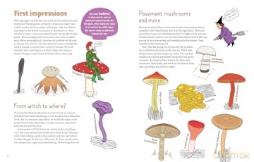 Mushrooms and Company: How a Marvelously Moldy Network Supports Life on Earth - Geert-Jan Roebers [KSIĄŻKA]