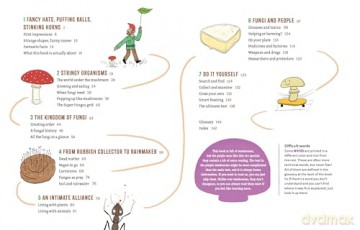 Mushrooms and Company: How a Marvelously Moldy Network Supports Life on Earth - Geert-Jan Roebers [KSIĄŻKA]