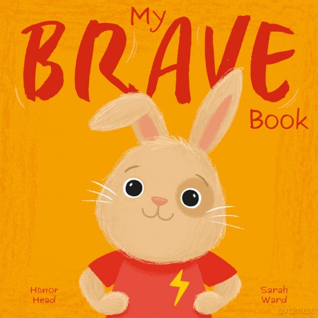 My Brave Book: A Picture Book on Understanding and Managing Emotions (My Feelings) - Honor Head [KSIĄŻKA]