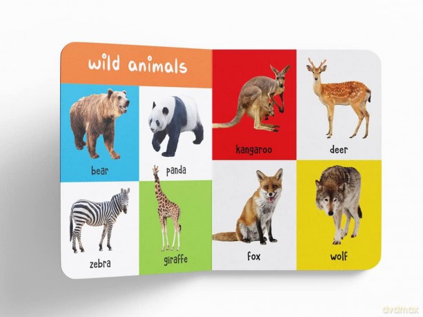 My First 100 Library: Boxset of 5 Early Learning Board Books for Kids/Children (Homeschool | Preschool | Baby/Toddler) [KSIĄŻKA]