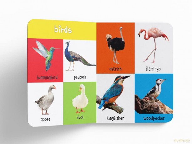My First 100 Library: Boxset of 5 Early Learning Board Books for Kids/Children (Homeschool | Preschool | Baby/Toddler) [KSIĄŻKA]