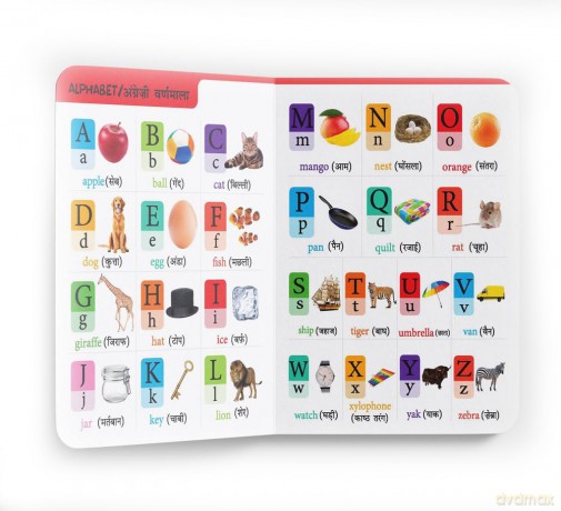 My First All in One (English - Hindi): Bilingual Picture Board Book for Kids: Bilingual Picture Book for Kids Hindi-English [KSIĄŻKA]
