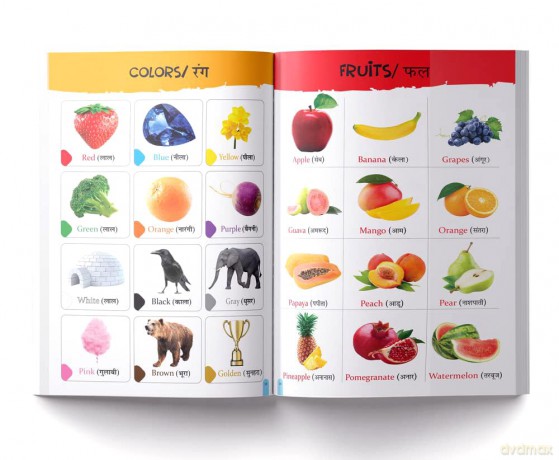 My First All in One: Bilingual Picture Book for Kids Hindi-English [KSIĄŻKA]