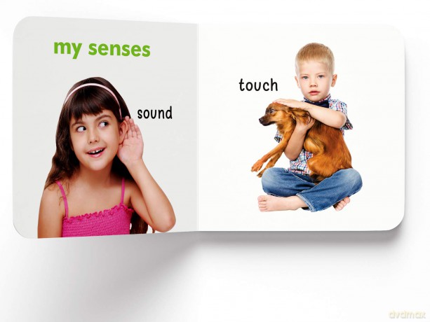 My First Book Of About me: First Board Book [KSIĄŻKA]