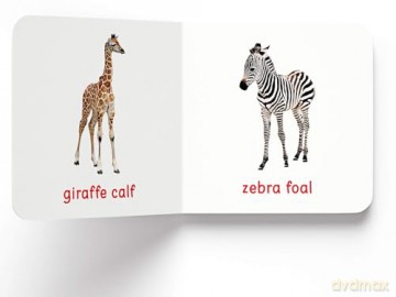 My First Book Of Baby Animals: First Board Book [KSIĄŻKA]