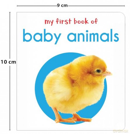 My First Book Of Baby Animals: First Board Book [KSIĄŻKA]