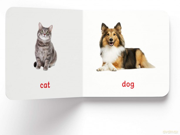 My First Book Of Farm Animals: First Board Book [KSIĄŻKA]