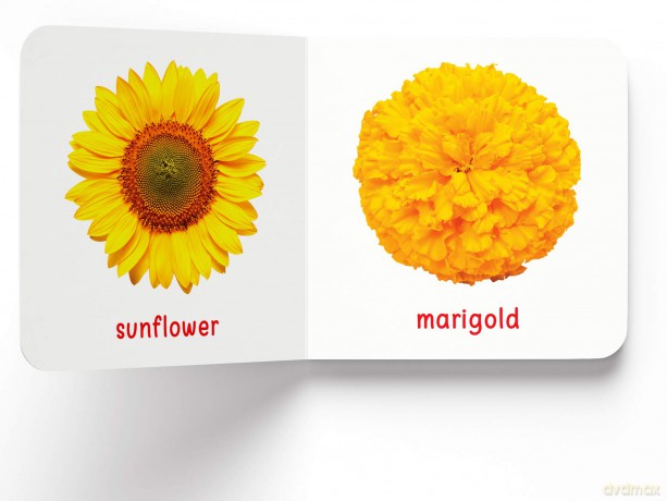 My First Book of Flowers: First Board Book [KSIĄŻKA]