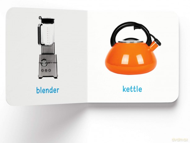 My First Book Of Things at Home: First Board Book [KSIĄŻKA]