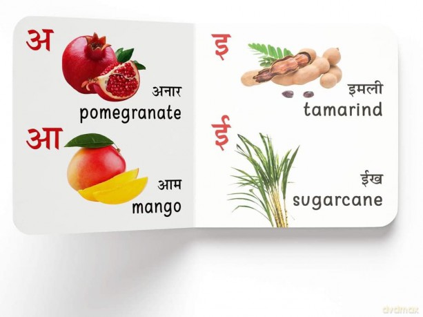 My First English Hindi Learning Library: Boxset Of Ten Bilingual Board Books For Children [KSIĄŻKA]