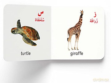 My First English-Arabic Learning Library: Bilingual Boxset of 10 Picture Board Books for Kids - Covers Basic Concepts and Everyday Topics (My First Books) [KSIĄŻKA]