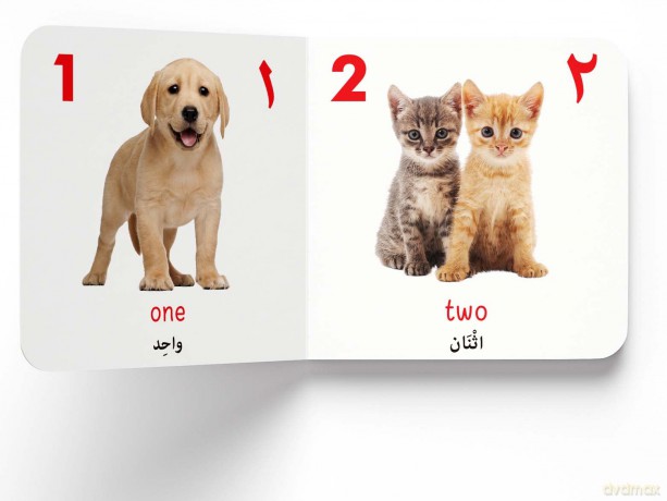 My First English-Arabic Learning Library: Bilingual Boxset of 10 Picture Board Books for Kids - Covers Basic Concepts and Everyday Topics (My First Books) [KSIĄŻKA]