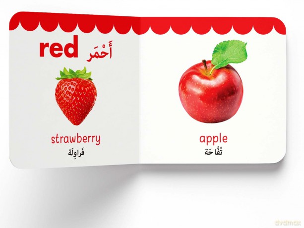 My First English-Arabic Learning Library: Bilingual Boxset of 10 Picture Board Books for Kids - Covers Basic Concepts and Everyday Topics (My First Books) [KSIĄŻKA]