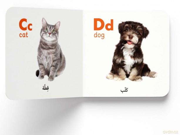 My First English-Arabic Learning Library: Bilingual Boxset of 10 Picture Board Books for Kids - Covers Basic Concepts and Everyday Topics (My First Books) [KSIĄŻKA]