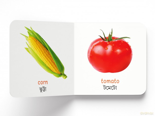 My First English-Bengali Learning Library: Boxed Set of 10 Books (My First Library) - Prakash Books [KSIĄŻKA]