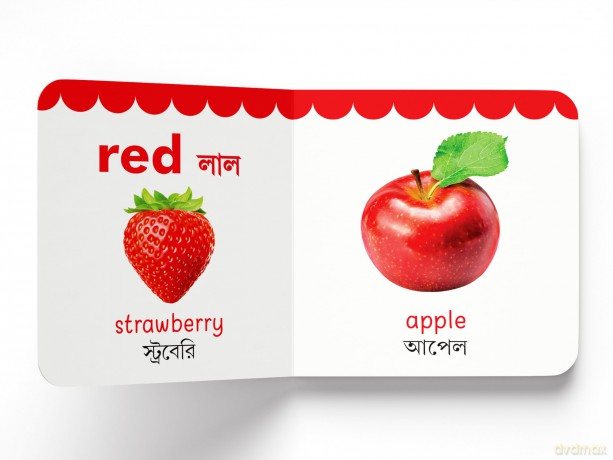 My First English-Bengali Learning Library: Boxed Set of 10 Books (My First Library) - Prakash Books [KSIĄŻKA]