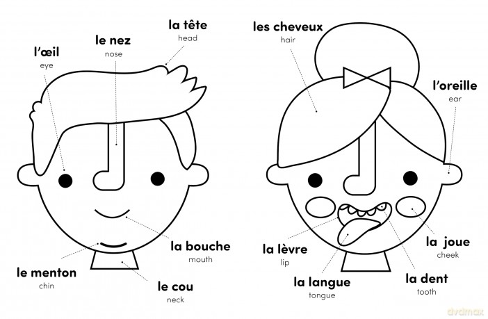 My First French-English Bilingual Colouring Book (My First Colouring Book) - Sam Hutchinson [KSIĄŻKA]
