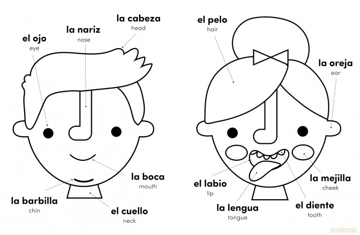 My First Spanish-English Bilingual Colouring Book (My First Colouring Book) - Sam Hutchinson [KSIĄŻKA]