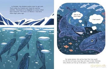 My Grey Whale Migration Journey (My Animal Migration Story) - Jamee-Marie Edwards [KSIĄŻKA]