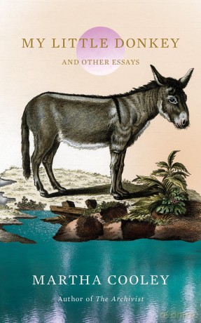 My Little Donkey And Other Essays - Martha Cooley [KSIĄŻKA]