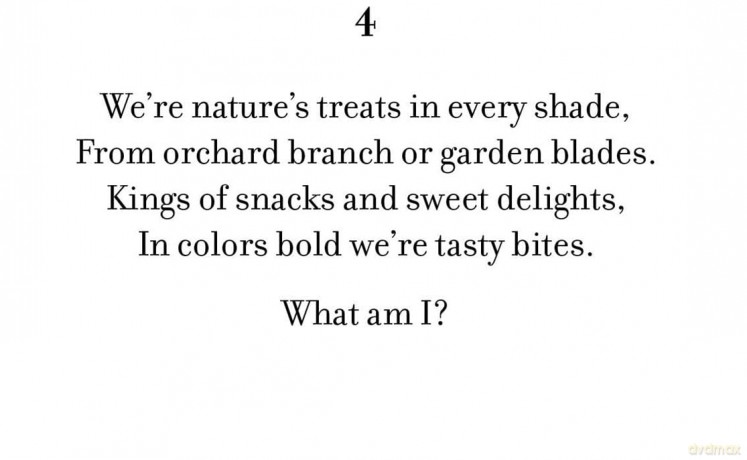 Mystery Coloring Tropical: Solve the riddle and color by numbers to reveal the picture [KSIĄŻKA]