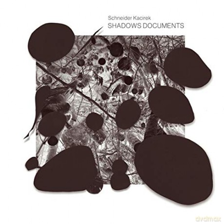 Schneider Kacirek: Shadow Documents [CD]