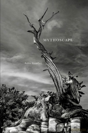 Mythoscape: A Different World - Azita Gandjei [KSIĄŻKA]