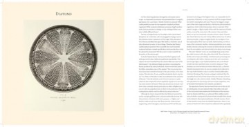 Nanocosmos: Journeys in Electron Space - Michael Benson [KSIĄŻKA]