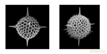 Nanocosmos: Journeys in Electron Space - Michael Benson [KSIĄŻKA]