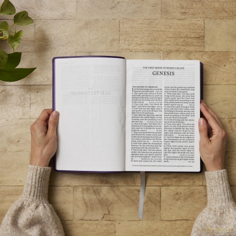 NKJV Giant Print End-of-Verse Reference Bible, Brown Leathersoft, Red Letter, Comfort Print: Holy Bible - Thomas Nelson [KSIĄŻKA]