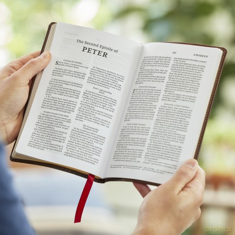 NKJV, Personal Size New Testament, Brown Leathersoft, Red Letter, Comfort Print: Nkjv, New Testament, Brown, Red Letter, Comfort Print - Thomas Nelson [KSIĄŻKA]