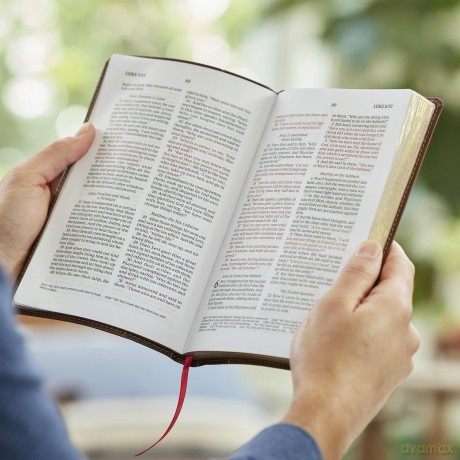 NKJV, Personal Size New Testament, Brown Leathersoft, Red Letter, Comfort Print: Nkjv, New Testament, Brown, Red Letter, Comfort Print - Thomas Nelson [KSIĄŻKA]