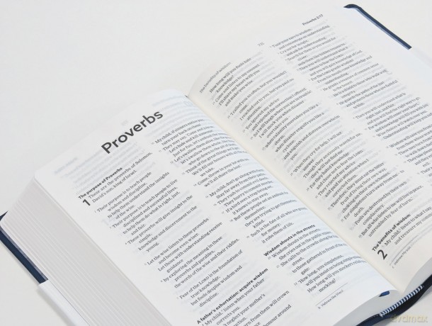 NLT Holy Bible: New Living Translation, British Text Version in Blue Soft-tone Flexiback Binding - Professor NLT Translators [KSIĄŻKA]