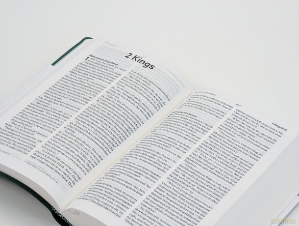 NLT Holy Bible: New Living Translation, British Text Version in Green Soft-tone Flexiback Binding - Professor NLT Translators [KSIĄŻKA]