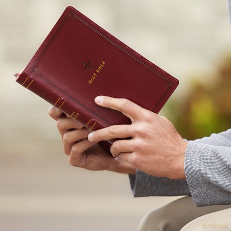 NRSV, Catholic Bible, Standard Personal Size, Leathersoft, Red, Comfort Print: Holy Bible - Catholic Bible Press [KSIĄŻKA]