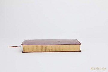 NRSV, Catholic Bible, Standard Personal Size, Leathersoft, Red, Comfort Print: Holy Bible - Catholic Bible Press [KSIĄŻKA]