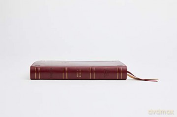 NRSV, Catholic Bible, Standard Personal Size, Leathersoft, Red, Comfort Print: Holy Bible - Catholic Bible Press [KSIĄŻKA]