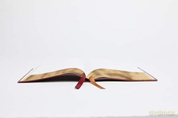 NRSV, Catholic Bible, Standard Personal Size, Leathersoft, Red, Comfort Print: Holy Bible - Catholic Bible Press [KSIĄŻKA]