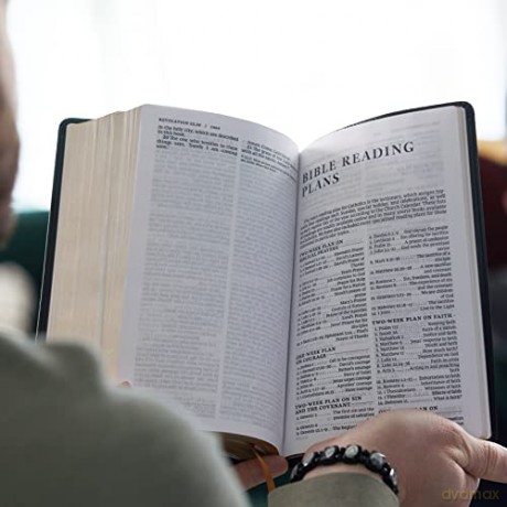 NRSV, Catholic Bible, Standard Personal Size, Leathersoft, Red, Comfort Print: Holy Bible - Catholic Bible Press [KSIĄŻKA]