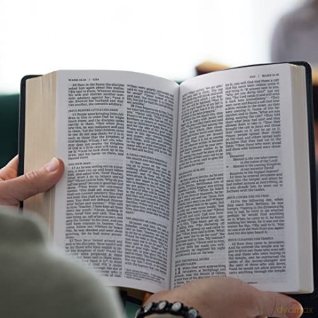 NRSV, Catholic Bible, Standard Personal Size, Leathersoft, Red, Comfort Print: Holy Bible - Catholic Bible Press [KSIĄŻKA]
