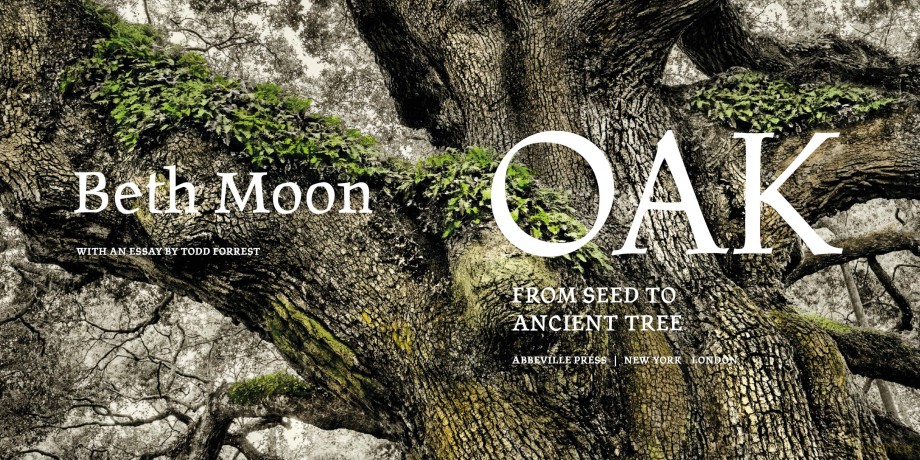 Oak: From Seed to Ancient Tree - Beth Moon [KSIĄŻKA]