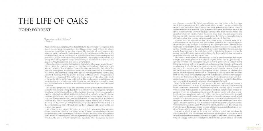 Oak: From Seed to Ancient Tree - Beth Moon [KSIĄŻKA]