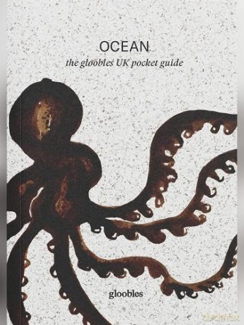 OCEAN: The Gloobles UK Pocket Guide - Stephanie Van Rappard [KSIĄŻKA]