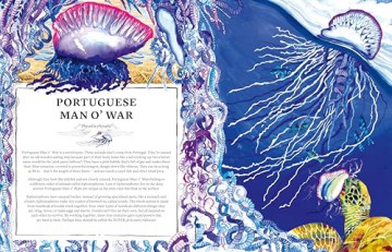Oceanopedia: an Encyclopedia of Marine Creatures - Helen Scales [KSIĄŻKA]